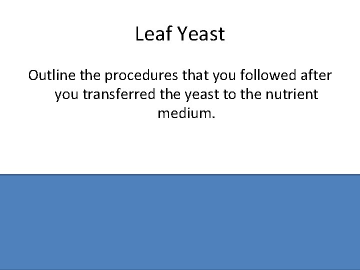 Leaf Yeast Outline the procedures that you followed after you transferred the yeast to