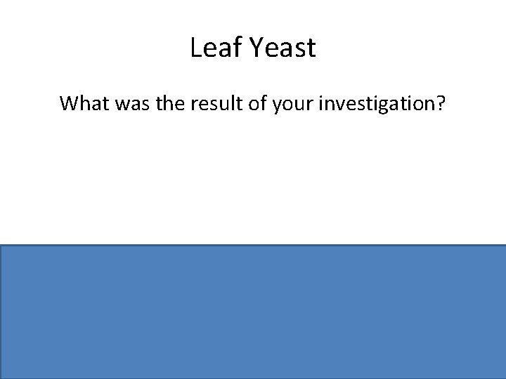 Leaf Yeast What was the result of your investigation? Pink colonies or if negative,