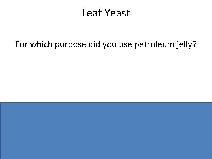 Leaf Yeast For which purpose did you use petroleum jelly? Attach leaves (or leaf