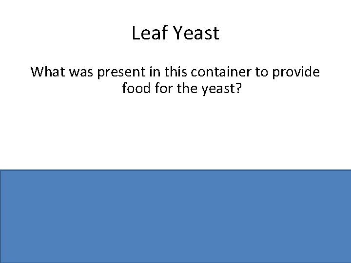 Leaf Yeast What was present in this container to provide food for the yeast?