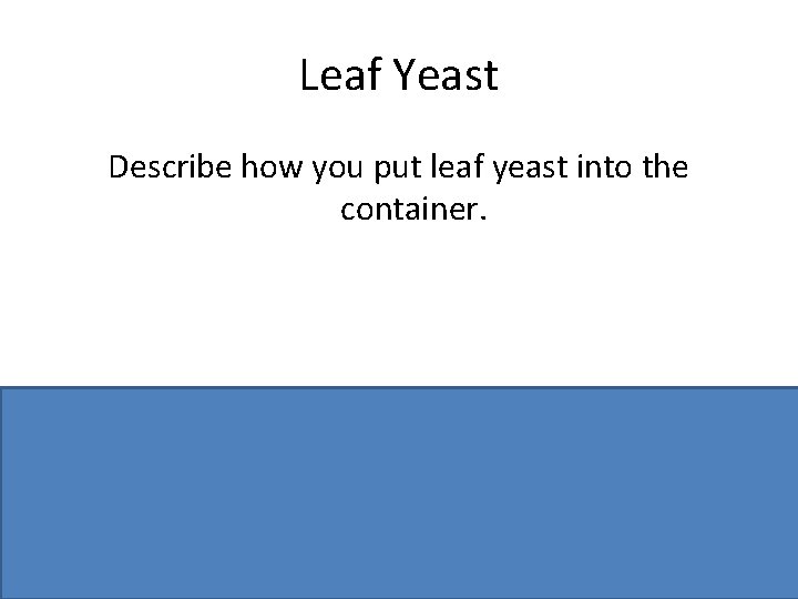 Leaf Yeast Describe how you put leaf yeast into the container. Sterilise cork borer/