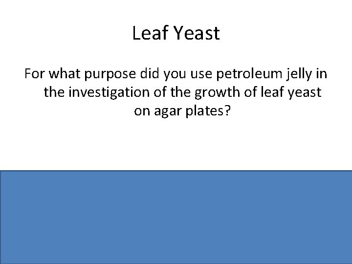 Leaf Yeast For what purpose did you use petroleum jelly in the investigation of