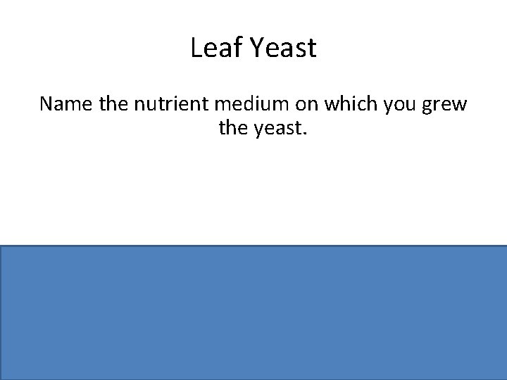 Leaf Yeast Name the nutrient medium on which you grew the yeast. Malt agar