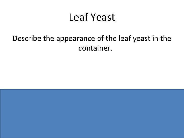 Leaf Yeast Describe the appearance of the leaf yeast in the container. Pink dots