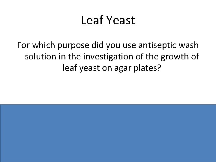 Leaf Yeast For which purpose did you use antiseptic wash solution in the investigation