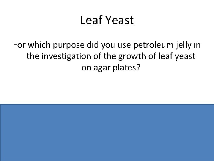 Leaf Yeast For which purpose did you use petroleum jelly in the investigation of