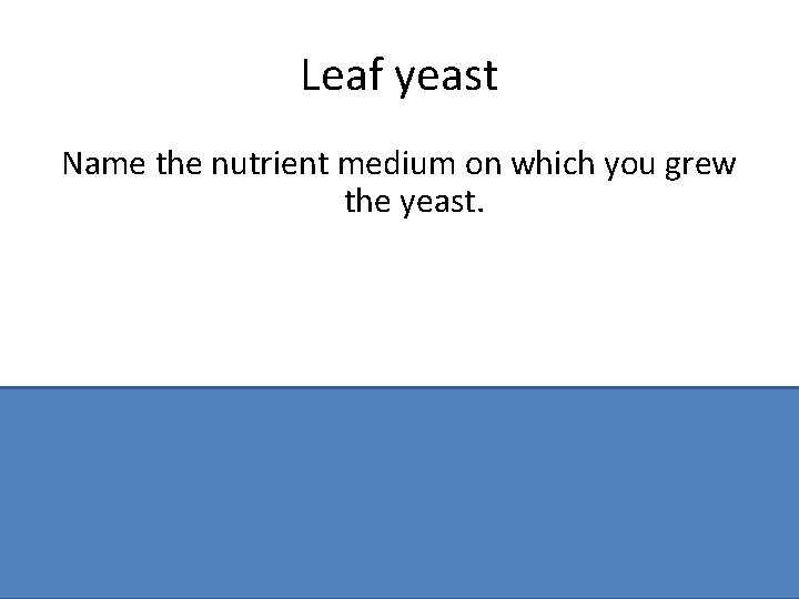 Leaf yeast Name the nutrient medium on which you grew the yeast. Malt agar