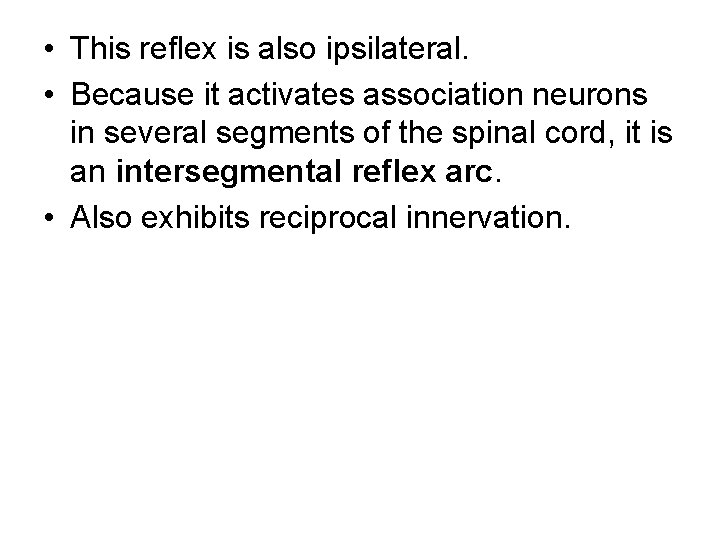  • This reflex is also ipsilateral. • Because it activates association neurons in