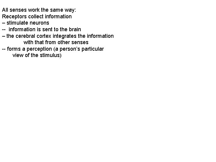 All senses work the same way: Receptors collect information – stimulate neurons -- information