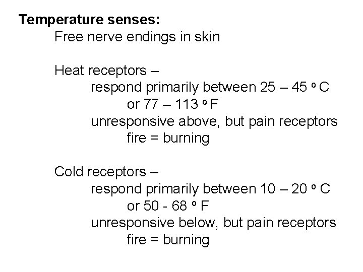 Temperature senses: Free nerve endings in skin Heat receptors – respond primarily between 25