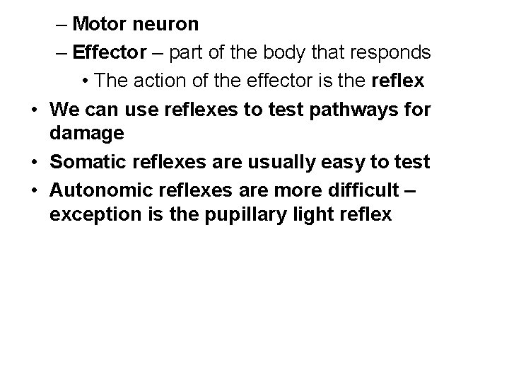 – Motor neuron – Effector – part of the body that responds • The