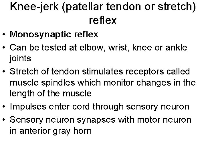 Knee-jerk (patellar tendon or stretch) reflex • Monosynaptic reflex • Can be tested at