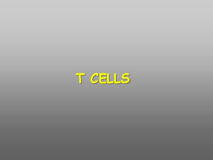 T CELLS 