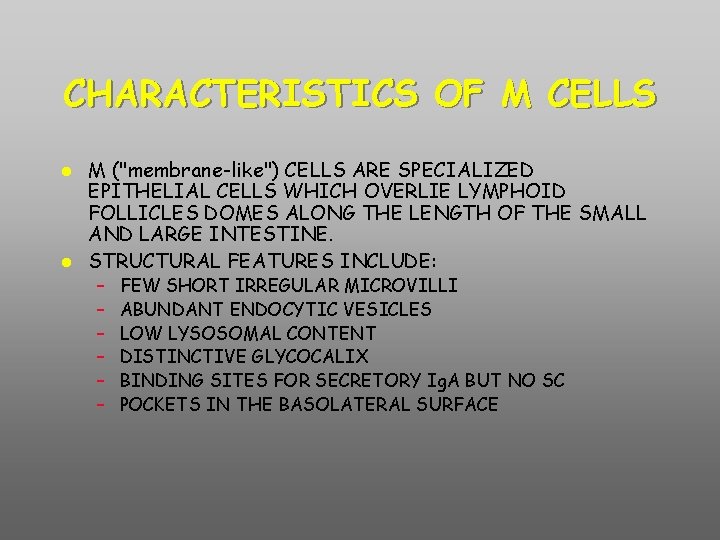 CHARACTERISTICS OF M CELLS M ("membrane-like") CELLS ARE SPECIALIZED EPITHELIAL CELLS WHICH OVERLIE LYMPHOID