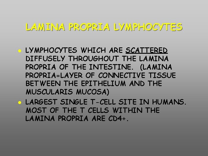 LAMINA PROPRIA LYMPHOCYTES WHICH ARE SCATTERED DIFFUSELY THROUGHOUT THE LAMINA PROPRIA OF THE INTESTINE.