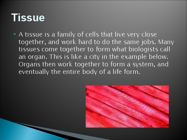 Tissue A tissue is a family of cells that live very close together, and