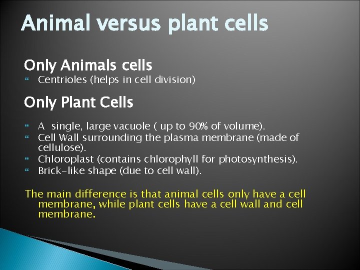 Animal versus plant cells Only Animals cells Centrioles (helps in cell division) Only Plant