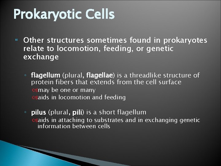 Prokaryotic Cells Other structures sometimes found in prokaryotes relate to locomotion, feeding, or genetic