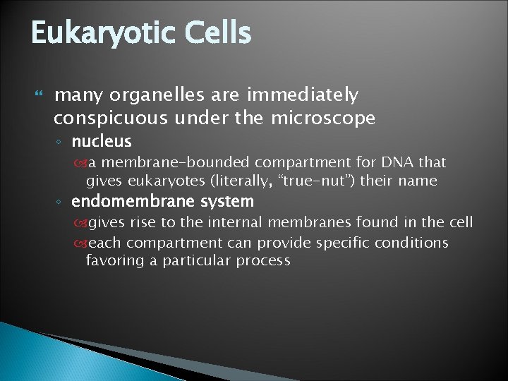 Eukaryotic Cells many organelles are immediately conspicuous under the microscope ◦ nucleus a membrane-bounded