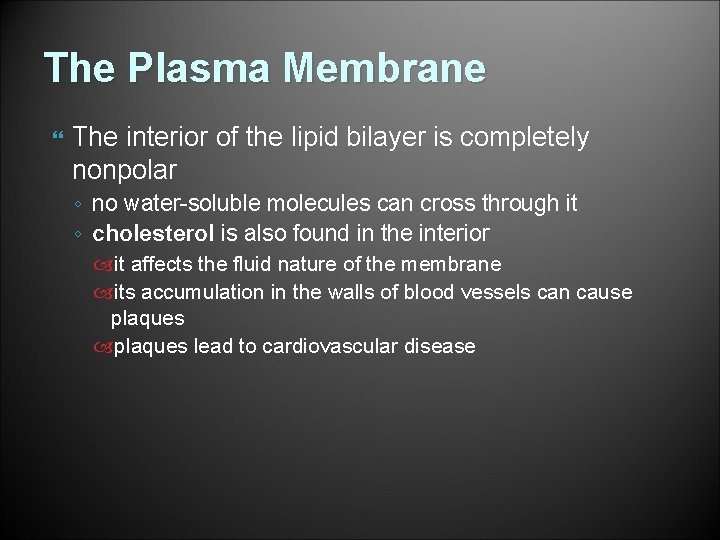 The Plasma Membrane The interior of the lipid bilayer is completely nonpolar ◦ no