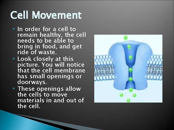 Cell Movement In order for a cell to remain healthy, the cell needs to