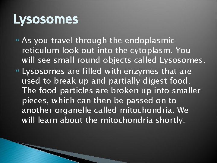 Lysosomes As you travel through the endoplasmic reticulum look out into the cytoplasm. You