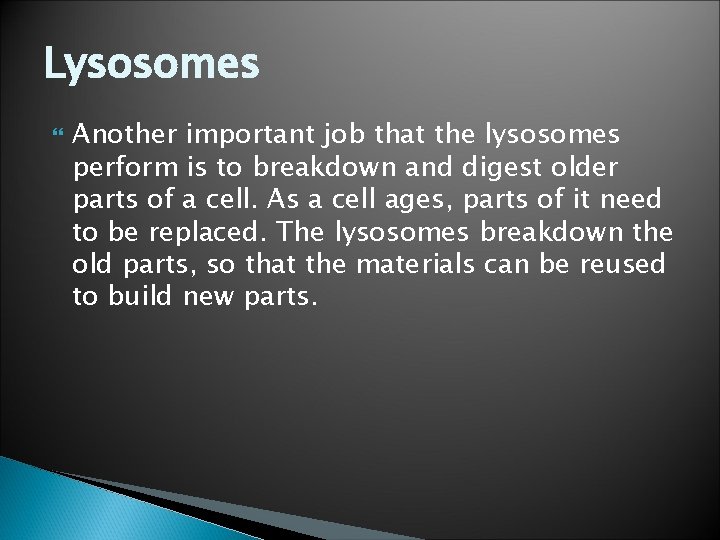 Lysosomes Another important job that the lysosomes perform is to breakdown and digest older