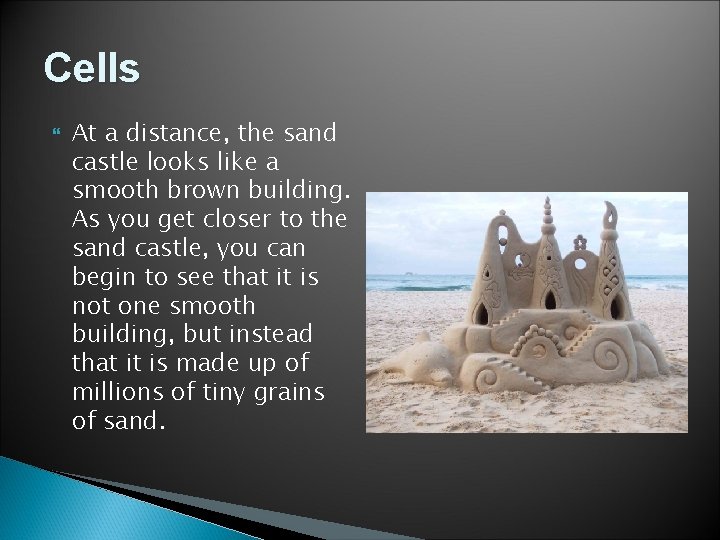 Cells At a distance, the sand castle looks like a smooth brown building. As