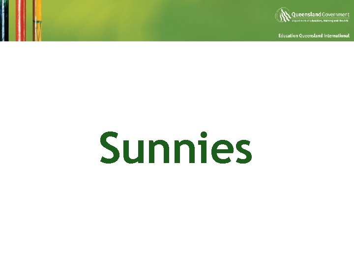 Sunnies 
