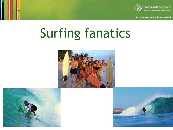 Surfing fanatics 