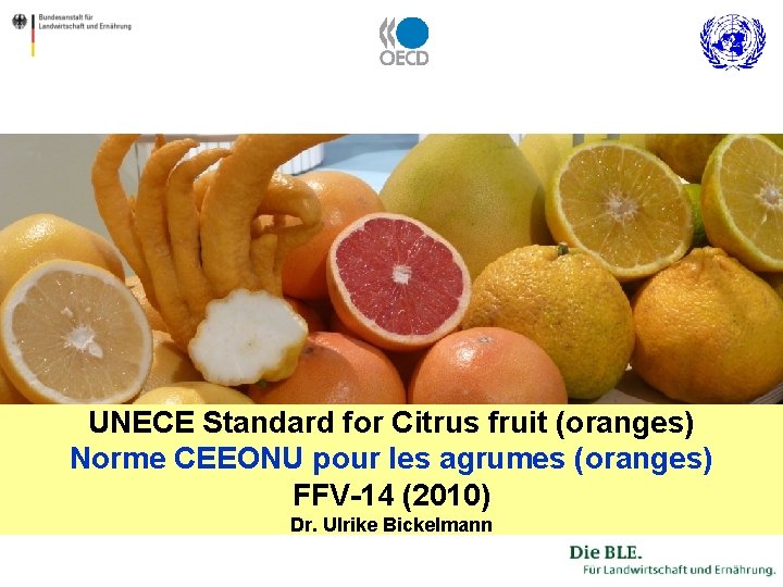 UNECE Standard for Citrus fruit (oranges) Norme CEEONU pour les agrumes (oranges) FFV-14 (2010)