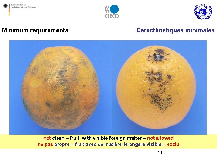 Minimum requirements Caractéristiques minimales not clean – fruit with visible foreign matter – not