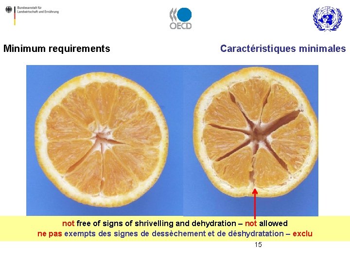 Minimum requirements Caractéristiques minimales not free of signs of shrivelling and dehydration – not