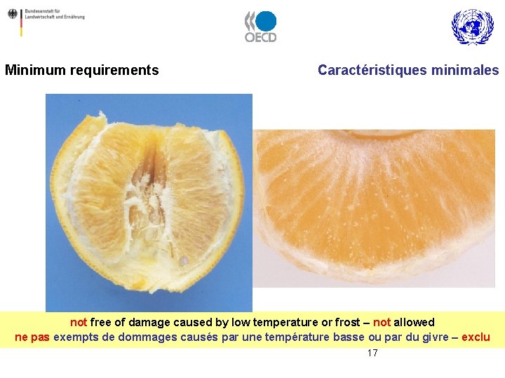 Minimum requirements Caractéristiques minimales not free of damage caused by low temperature or frost