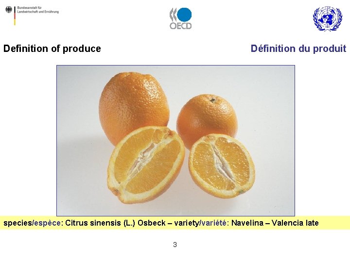 Definition of produce Définition du produit species/espèce: Citrus sinensis (L. ) Osbeck – variety/variété: