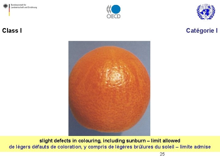 Class I Catégorie I slight defects in colouring, including sunburn – limit allowed de