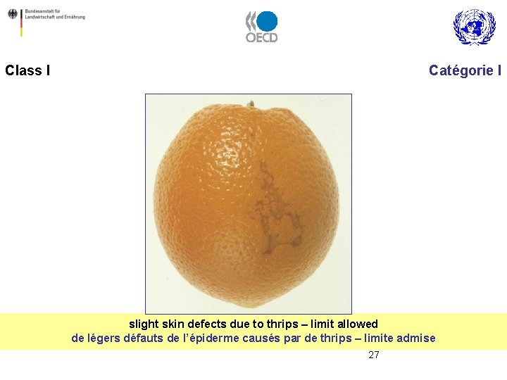 Class I Catégorie I slight skin defects due to thrips – limit allowed de