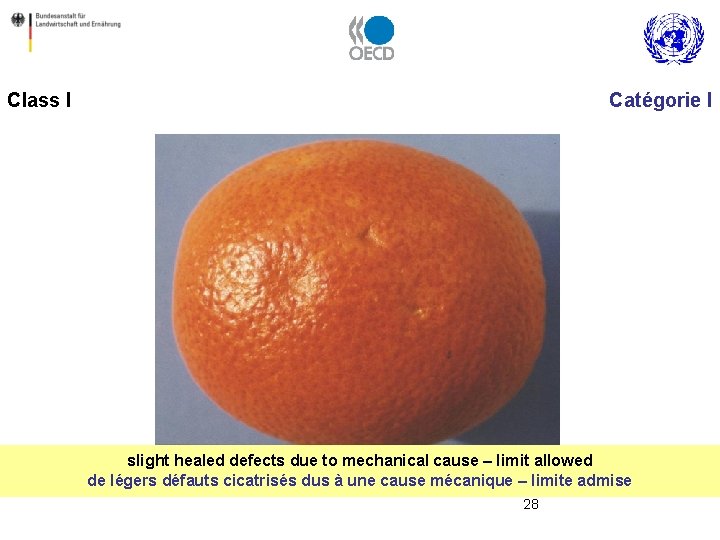 Class I Catégorie I slight healed defects due to mechanical cause – limit allowed