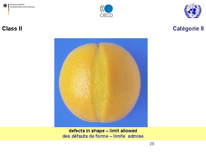 Class II Catégorie II defects in shape – limit allowed des défauts de forme