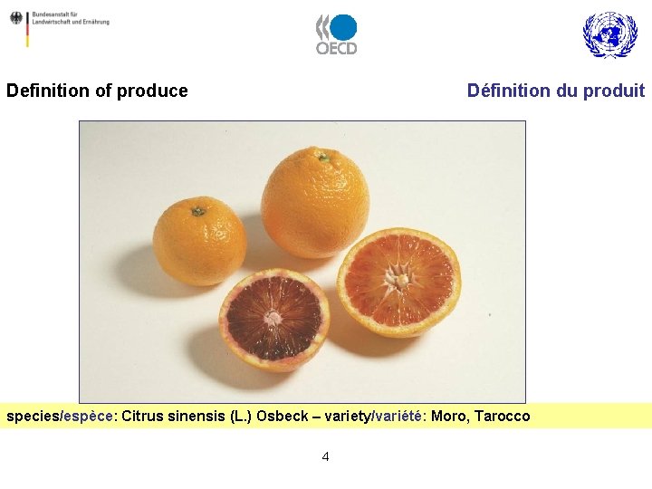 Definition of produce Définition du produit species/espèce: Citrus sinensis (L. ) Osbeck – variety/variété: