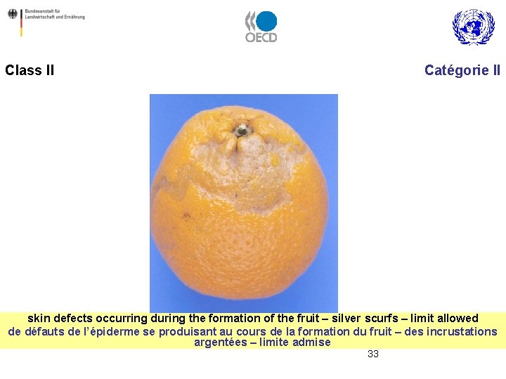 Class II Catégorie II skin defects occurring during the formation of the fruit –