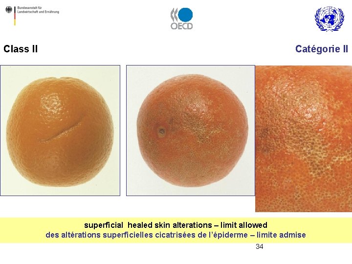 Class II Catégorie II superficial healed skin alterations – limit allowed des altérations superficielles