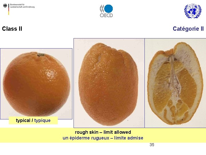 Class II Catégorie II typical / typique rough skin – limit allowed un épiderme