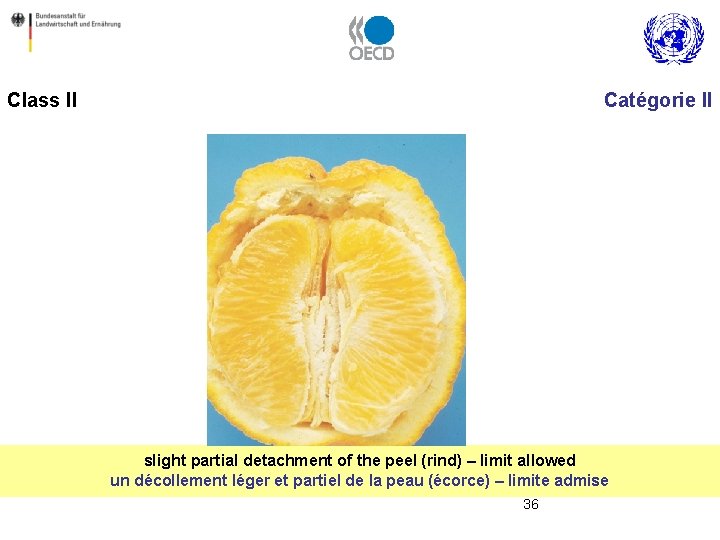 Class II Catégorie II slight partial detachment of the peel (rind) – limit allowed