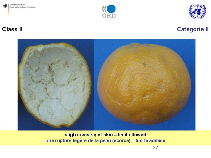 Class II Catégorie II sligh creasing of skin – limit allowed une rupture légère