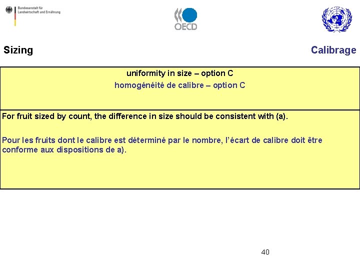 Sizing Calibrage uniformity in size – option C homogénéité de calibre – option C