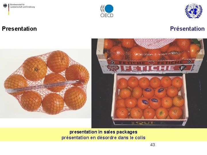 Presentation Présentation presentation in sales packages présentation en désordre dans le colis 43 