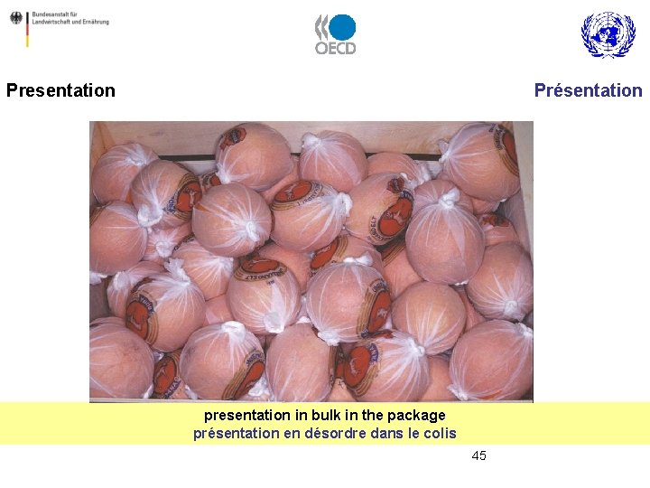 Presentation Présentation presentation in bulk in the package présentation en désordre dans le colis