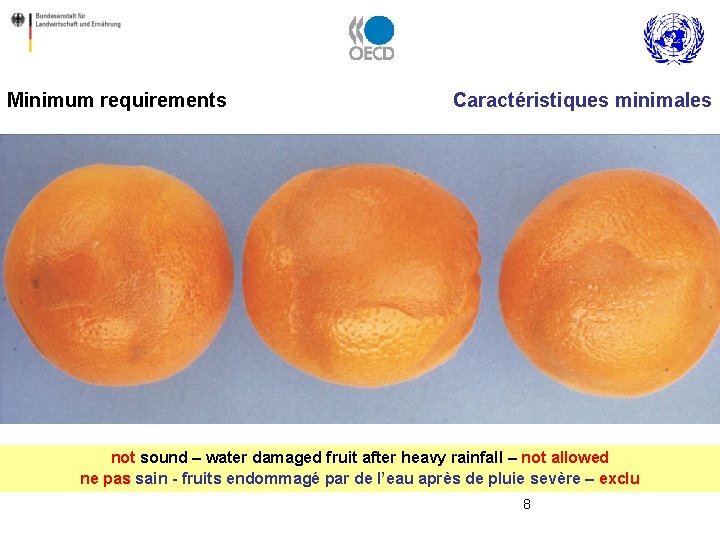 Minimum requirements Caractéristiques minimales not sound – water damaged fruit after heavy rainfall –