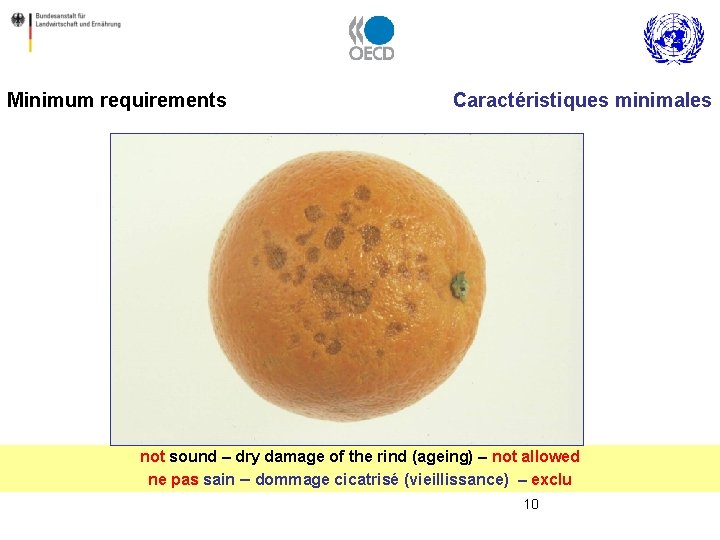 Minimum requirements Caractéristiques minimales not sound – dry damage of the rind (ageing) –